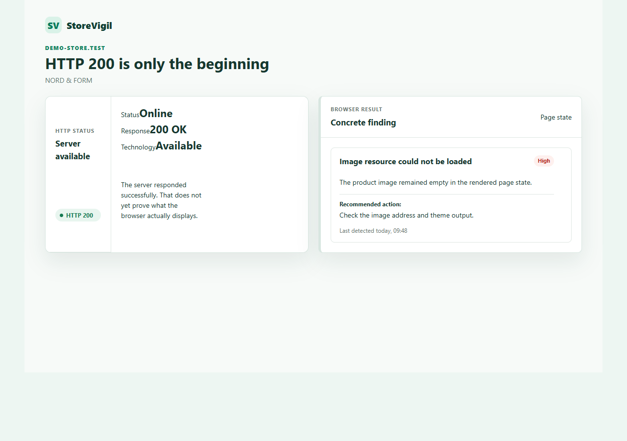 HTTP 200 beside a concrete StoreVigil browser finding